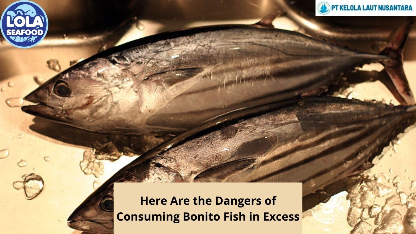 Here Are the Dangers of Consuming Bonito Fish in Excess